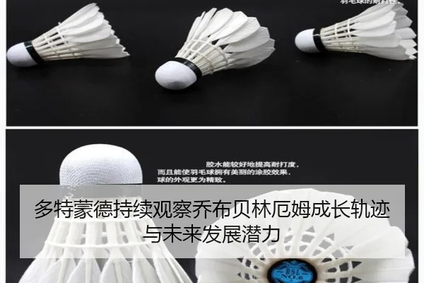 多特蒙德持续观察乔布贝林厄姆成长轨迹与未来发展潜力